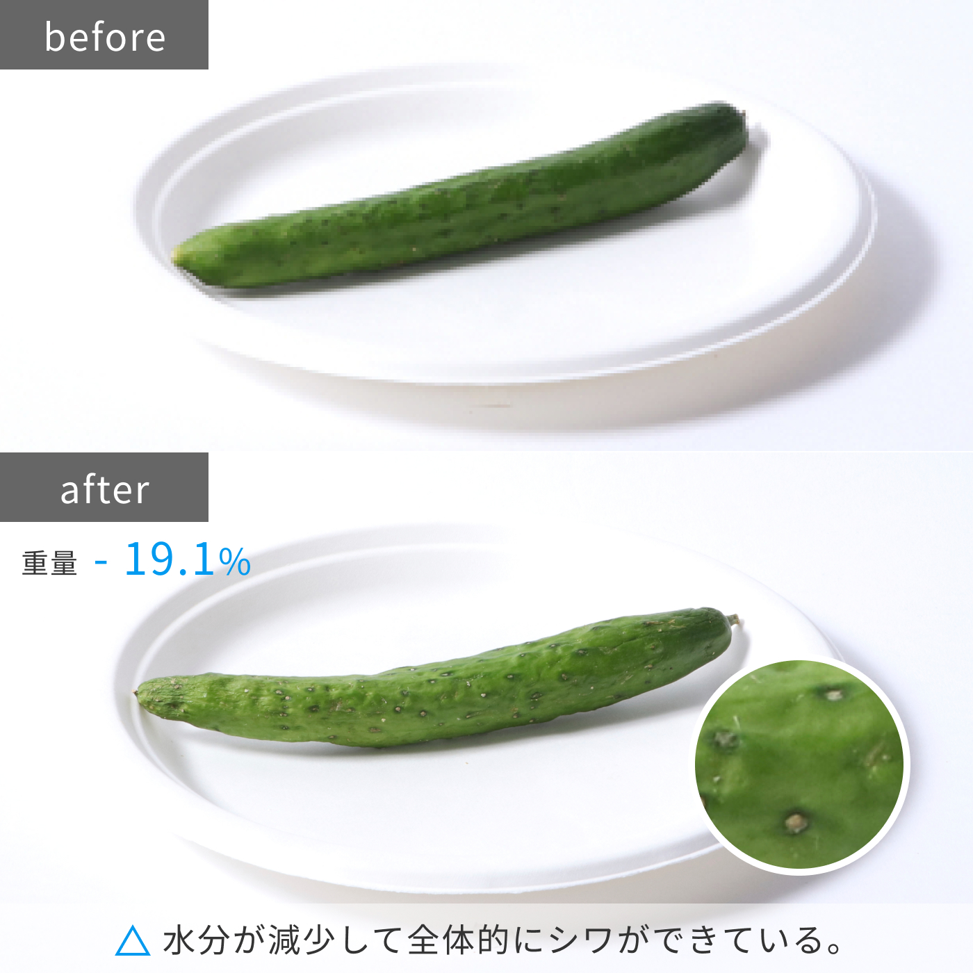 IRSN−17A-WE 12