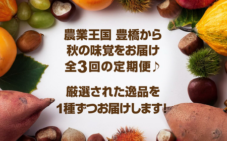 全3回 穂の国 秋の味覚定期便 2