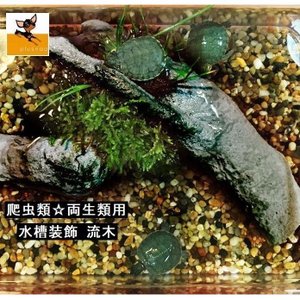 21年 爬虫類用流木のおすすめ人気ランキング10選 Mybest