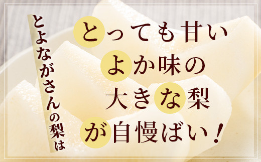 熊本県産 梨 3