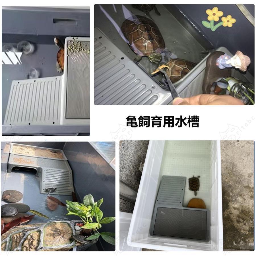 大型カメ飼育ケース 7