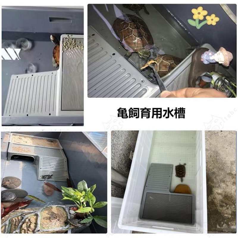 大型カメ飼育ケース 7