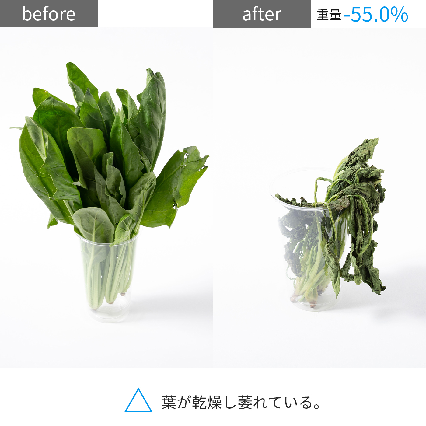 NR−F506HPX 22