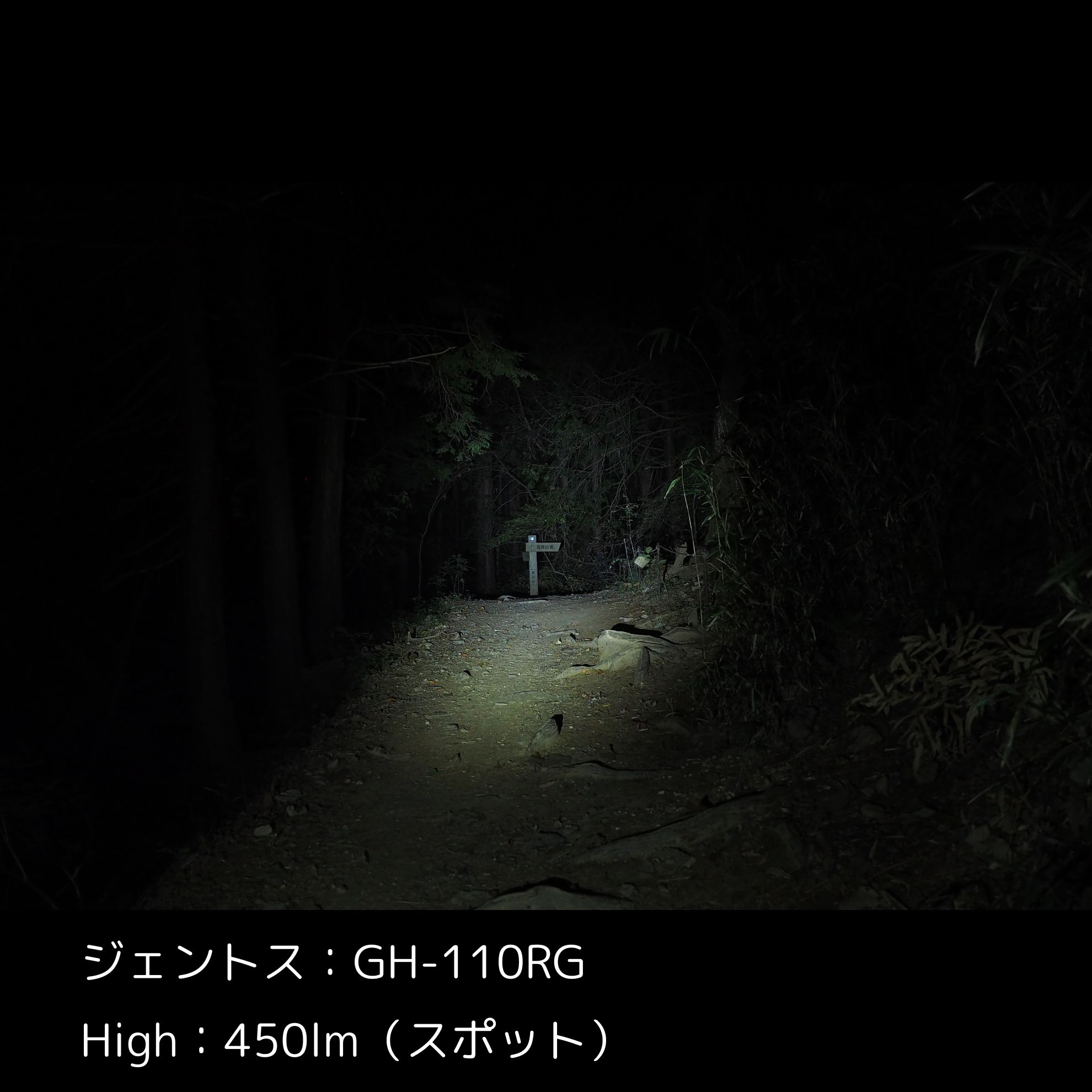 GH-110RG 4