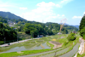 安穏農園 4