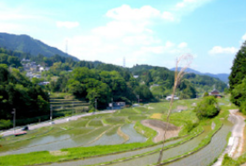 安穏農園 4