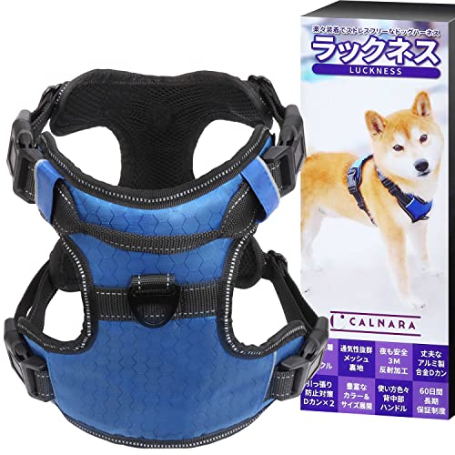 ラックネス 1