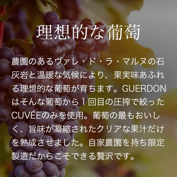 ガードン ブリュット ブラックボトル 6