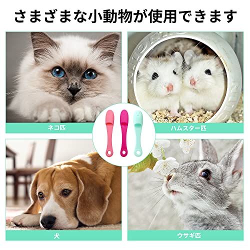 ペット用歯ブラシ 5
