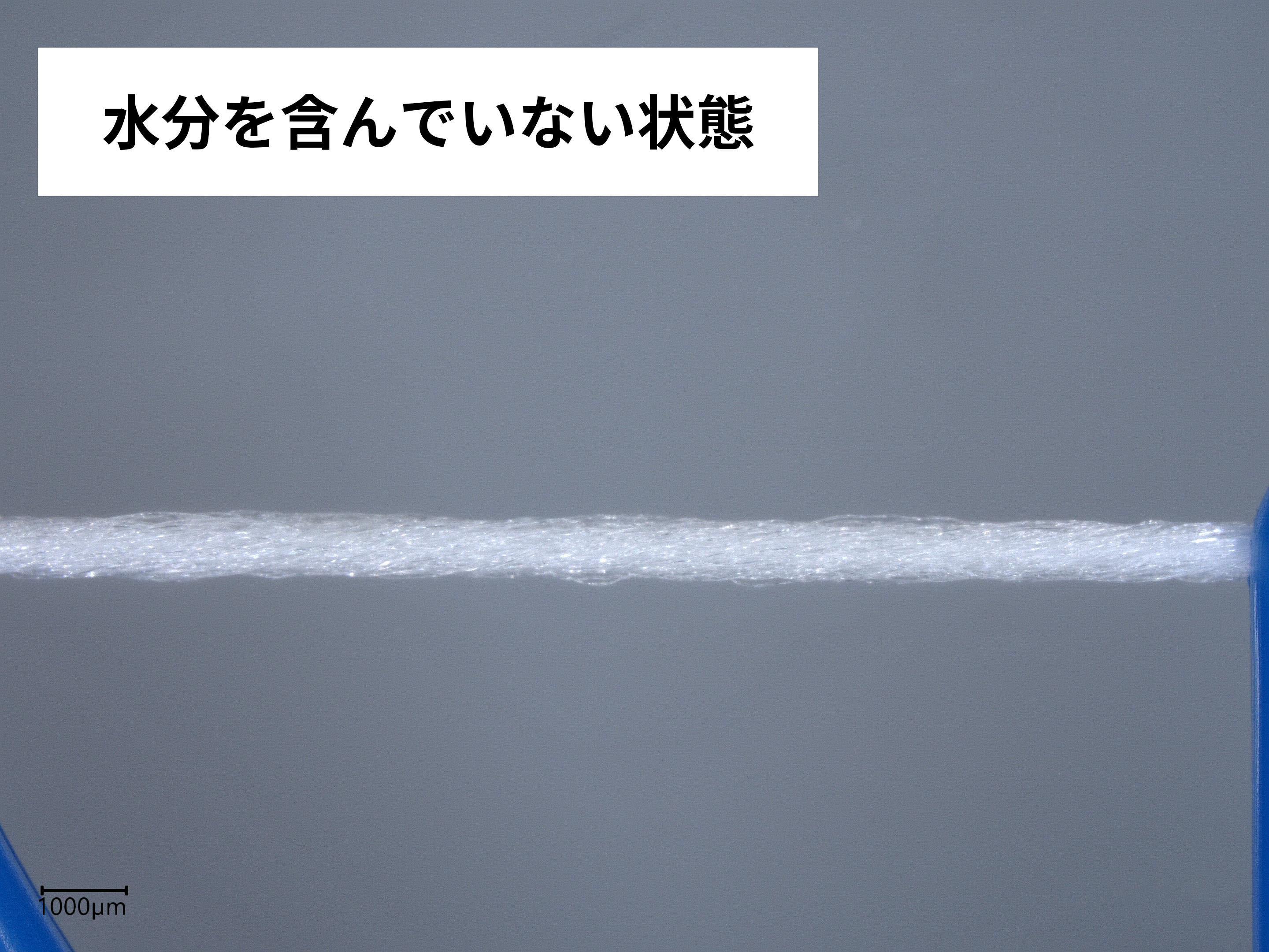 ダブルフロス 3