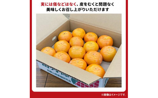 富有柿 2