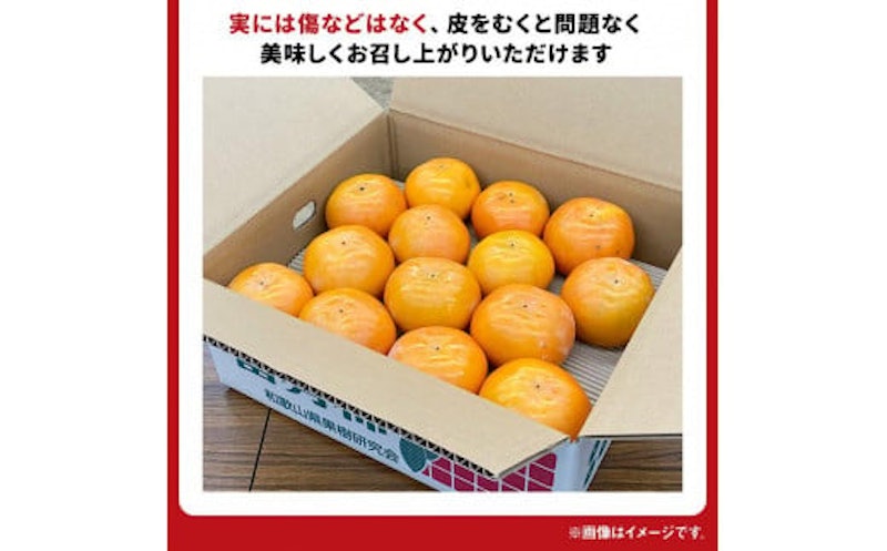 富有柿 2