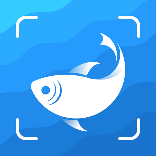 Picture Fish 1