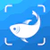 Next Vision Limited Picture Fish 1