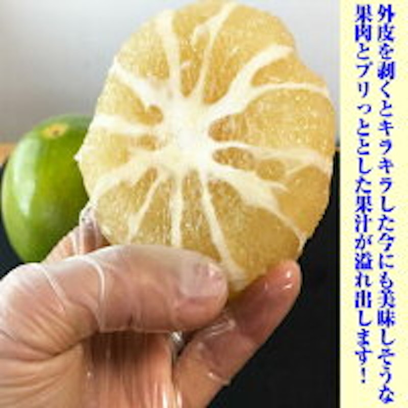 大玉 メロゴールド 2