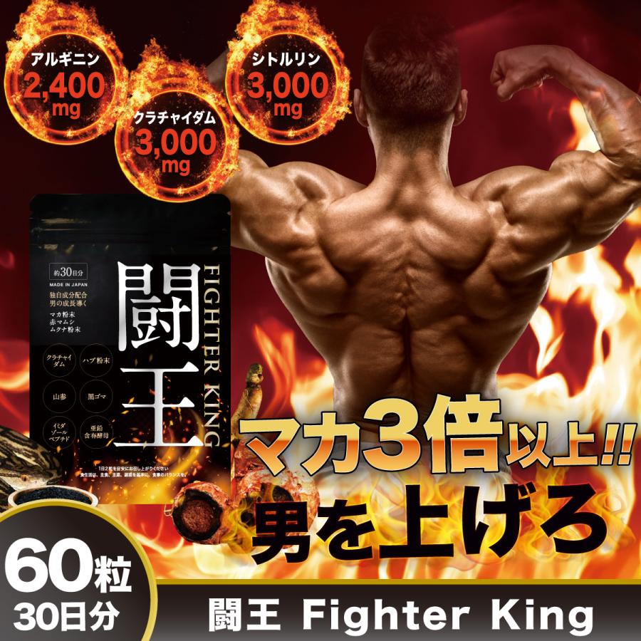 闘王（ファイターキング） 1