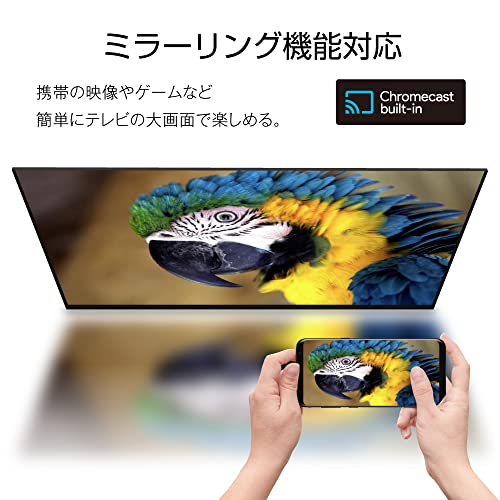 チューナーレス スマートテレビ 5