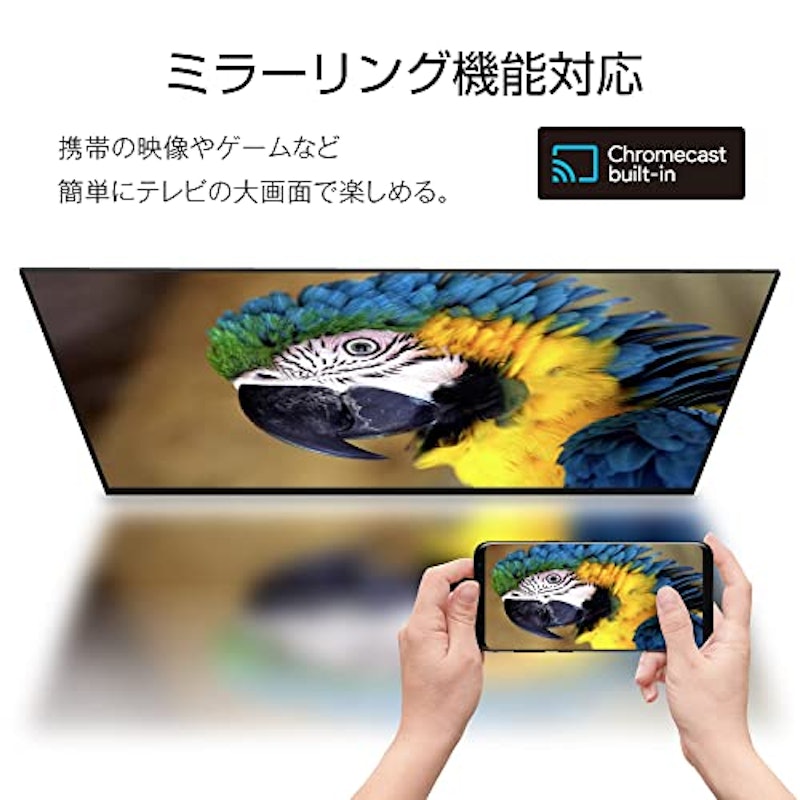 チューナーレス スマートテレビ 5