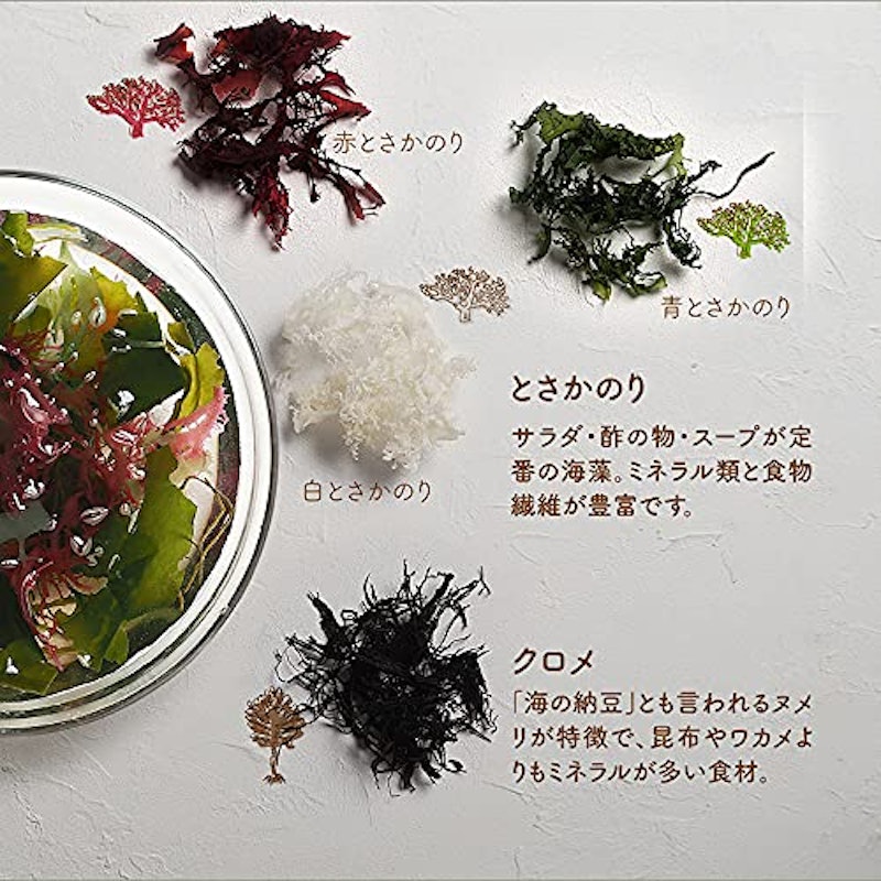 ななつのしあわせ海サラダ 7