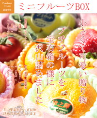 岡山果物工房 ミニフルーツBOX 2