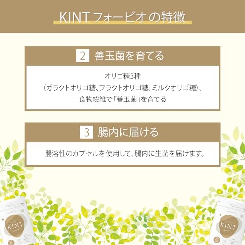 キントフォービオ 5