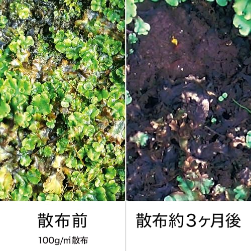 コケレス粒剤  3
