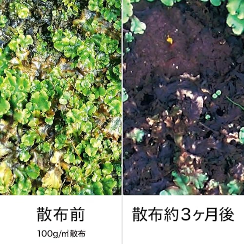 コケレス粒剤 3