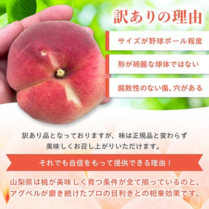 山梨県産桃 訳あり 3
