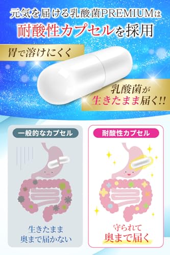 乳酸菌＆ビフィズス菌  5