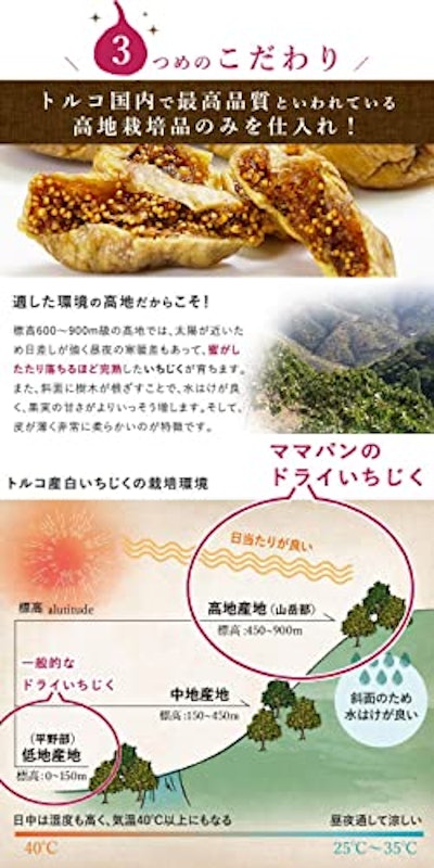 mamapan 有機ドライいちじく 7