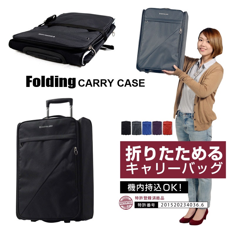 Debut Folding CARRY CASE 2