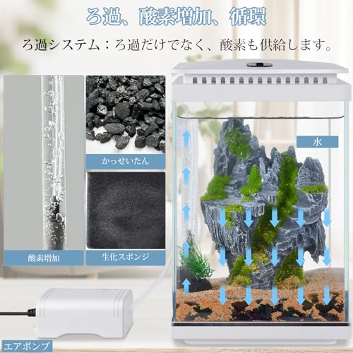 小型ガラス水槽 3