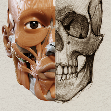 アーティストのための3D解剖学的構造 1