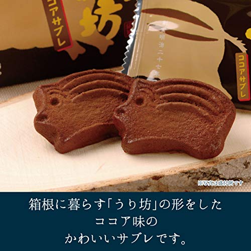 箱根のうり坊 ココアサブレ 3