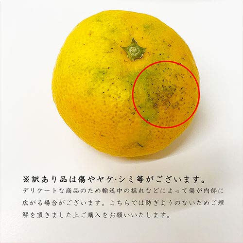 訳あり 小玉みかん 3