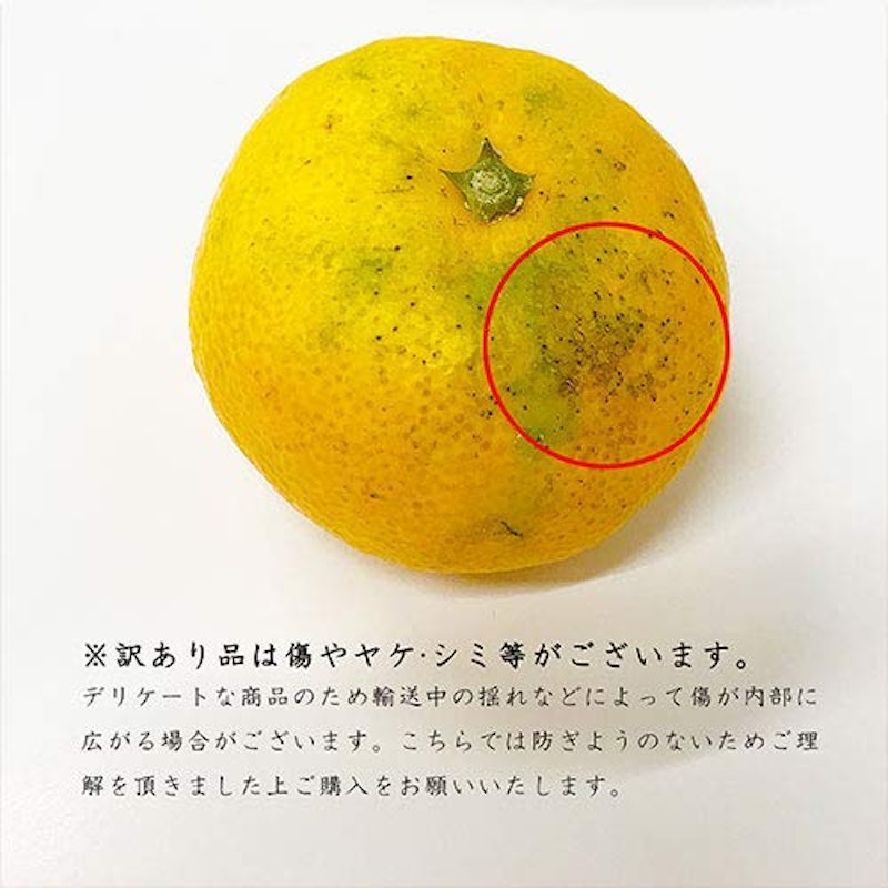 訳あり 小玉みかん 3