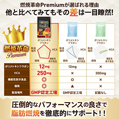 燃焼革命Premium 7