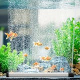 エアストーンのおすすめ人気ランキング【2026年9月】 4