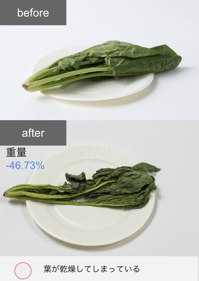 冷凍冷蔵庫 15
