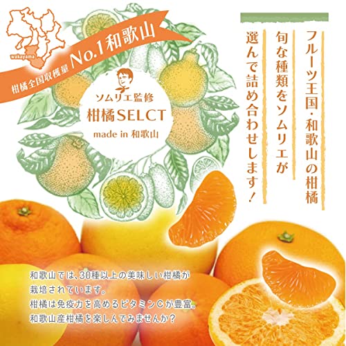 和歌山県産 ソムリエ厳選 柑橘食べ比べ セット 2