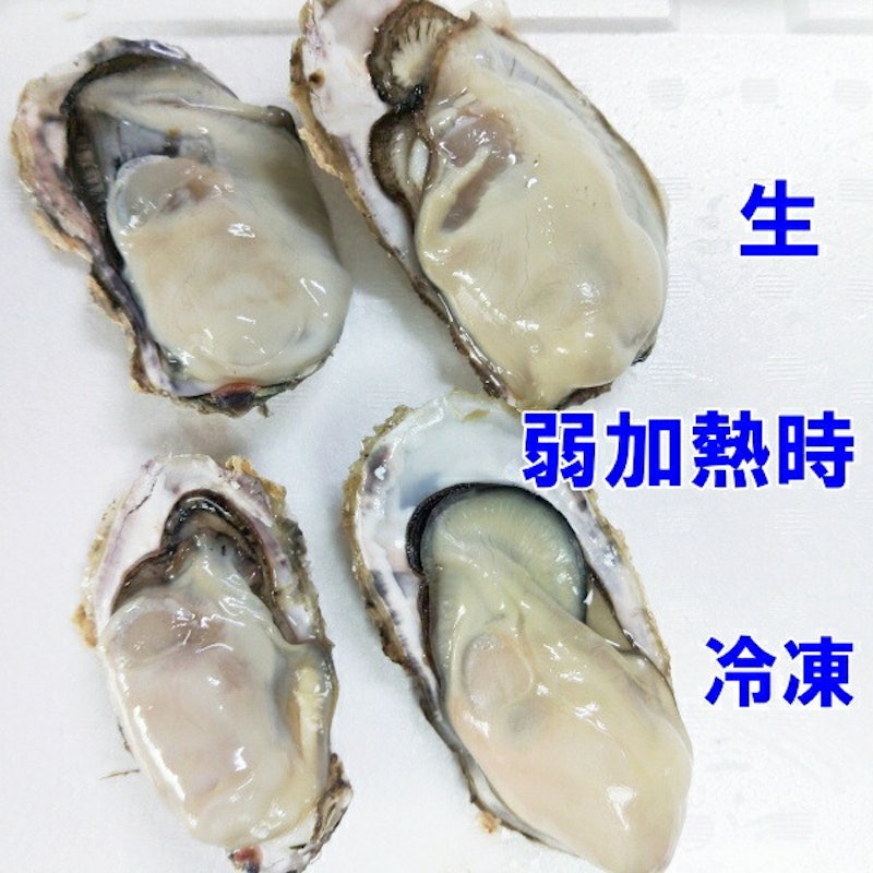 生食用冷凍牡蠣 殻付き 2