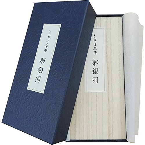 万年筆 夢銀河 5