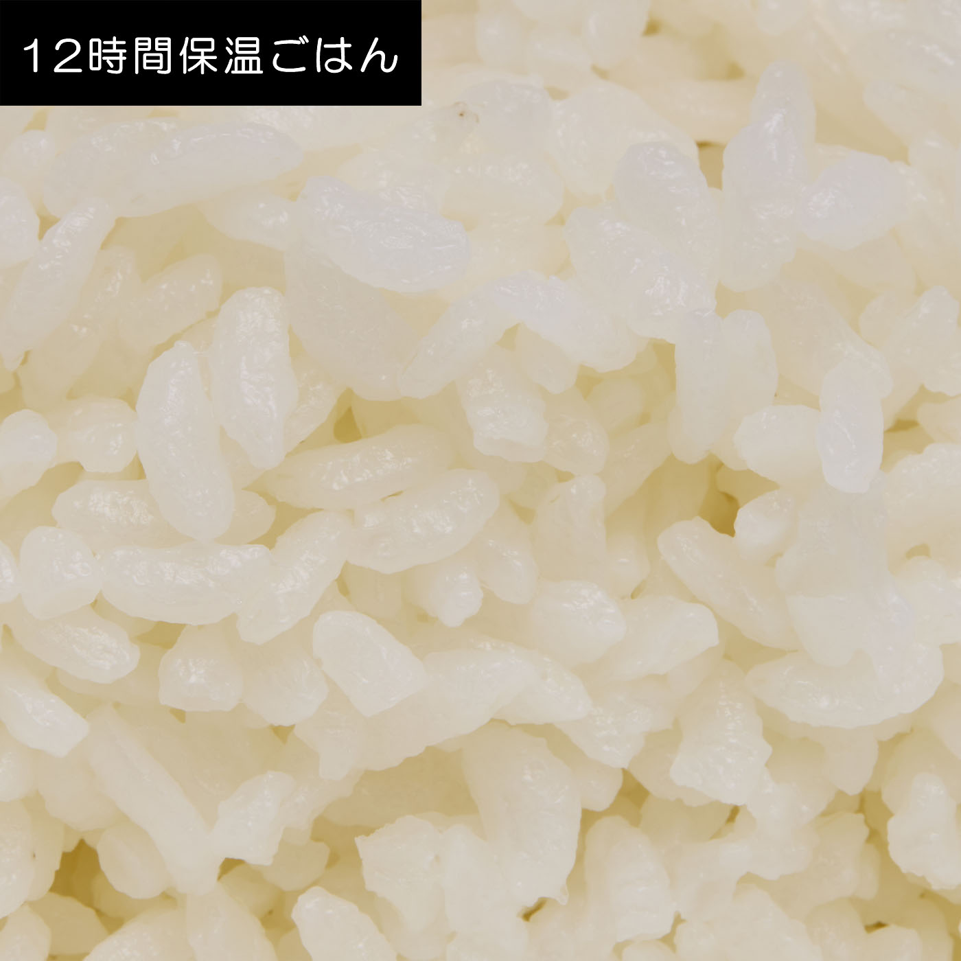 圧力&スチーム ふっくら御膳 10