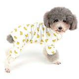犬用ロンパースのおすすめ人気ランキング【2026年6月】 5