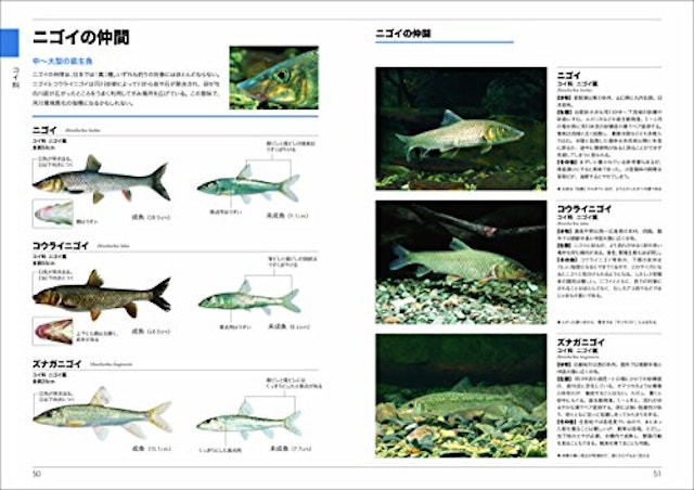 21年 魚図鑑のおすすめ人気ランキング15選 Mybest 21年 魚図鑑のおすすめ人気ランキング15選 Mybest