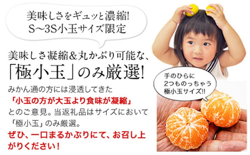 訳あり くまもと小玉みかん 2