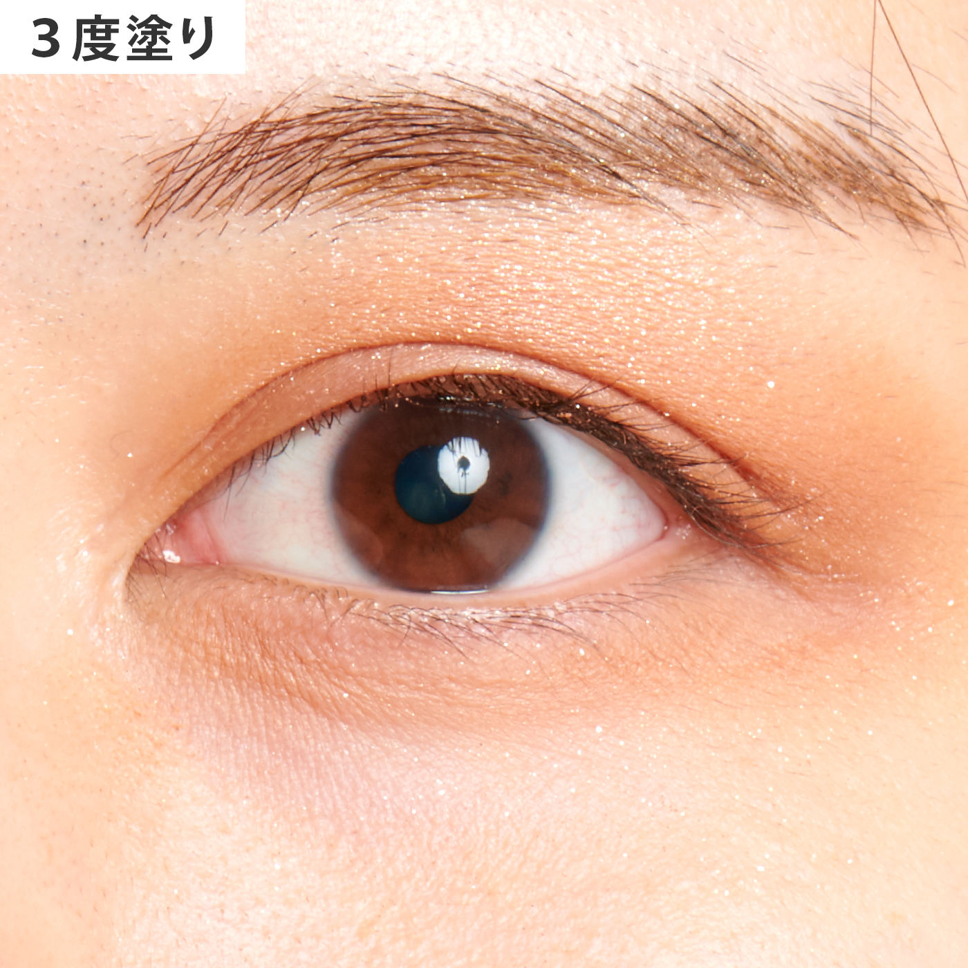プロ アイ パレット 10