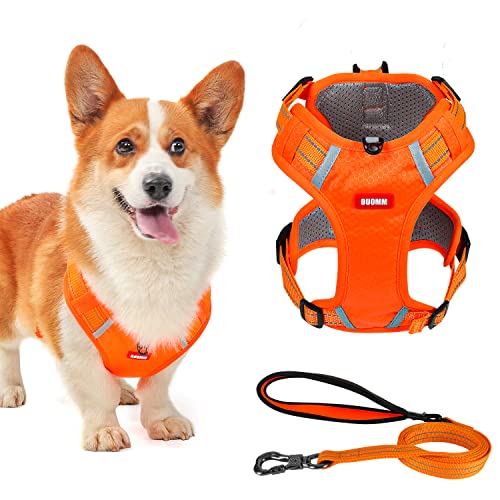 犬用ハーネス 1