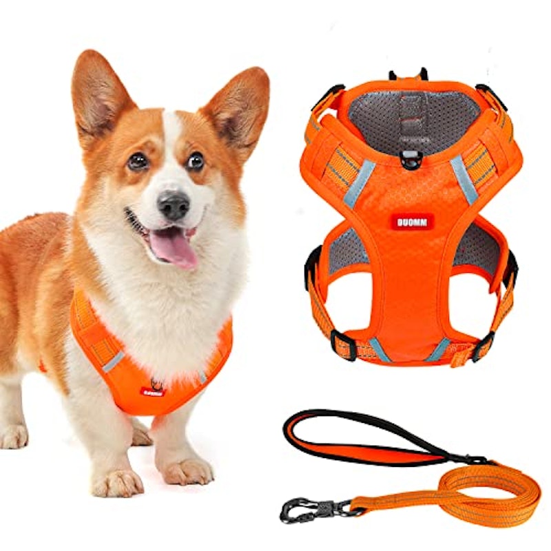 犬用ハーネス 1