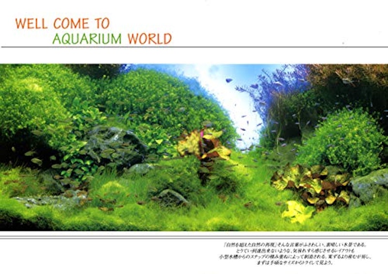 22年 熱帯魚図鑑のおすすめ人気ランキング10選 Mybest 22年 熱帯魚図鑑のおすすめ人気ランキング10選 Mybest